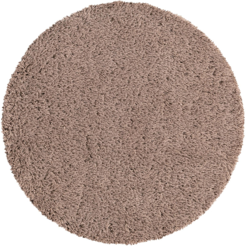 Indoor Rug, Round 4'