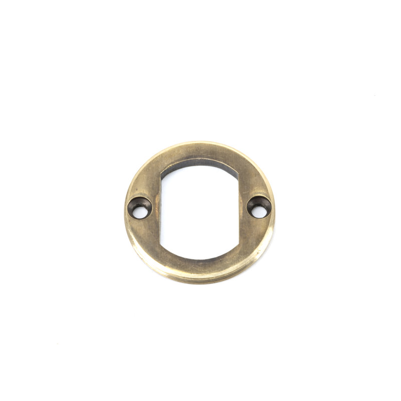 Escutcheon Door Accessory, Aged Brass