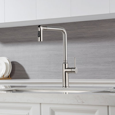 Robinet de cuisine Rainlex