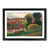 Black Framed