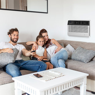 Friedrich Wi-Fi Connected Through The Wall Air Conditioner