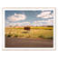 Badlands SD Print by Ryann Ford-48615729-48615734