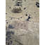 Tapis en laine crème Original Original