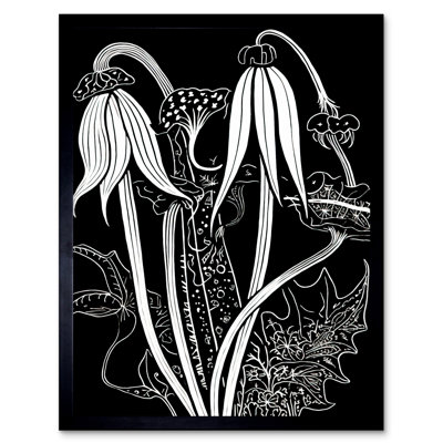 Ville Arisaema Flowers Black And White Contour Folk Art - Single Picture Frame Print