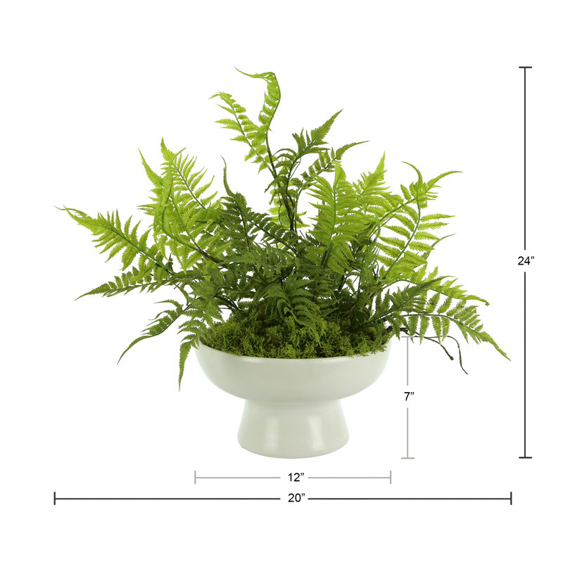 Mountain Fern and Moss Arrangement
