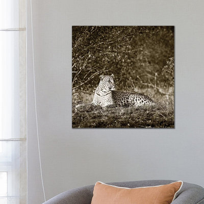 Vigilant Leopard by Klaus Tiedge - Wrapped Canvas Print