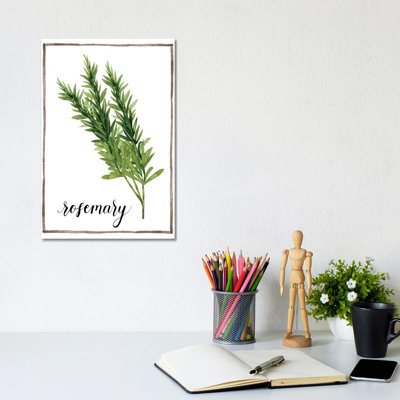 Watercolour Herbs V - Wrapped Canvas Print