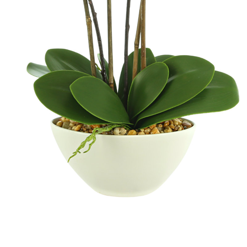 Orchid Floral Arrangement In A Ceramic Pot With Rocks, Pink