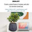 IDEALIST Textured Concrete Effect Oval Face Planter, Indoor Head Plant Pot for Indoor Plants-1163172225-1163172224