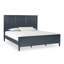 Vinesha Panel Bed-1845593852-1845593843