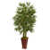 66'' Faux Bamboo Tree in Wood Planter