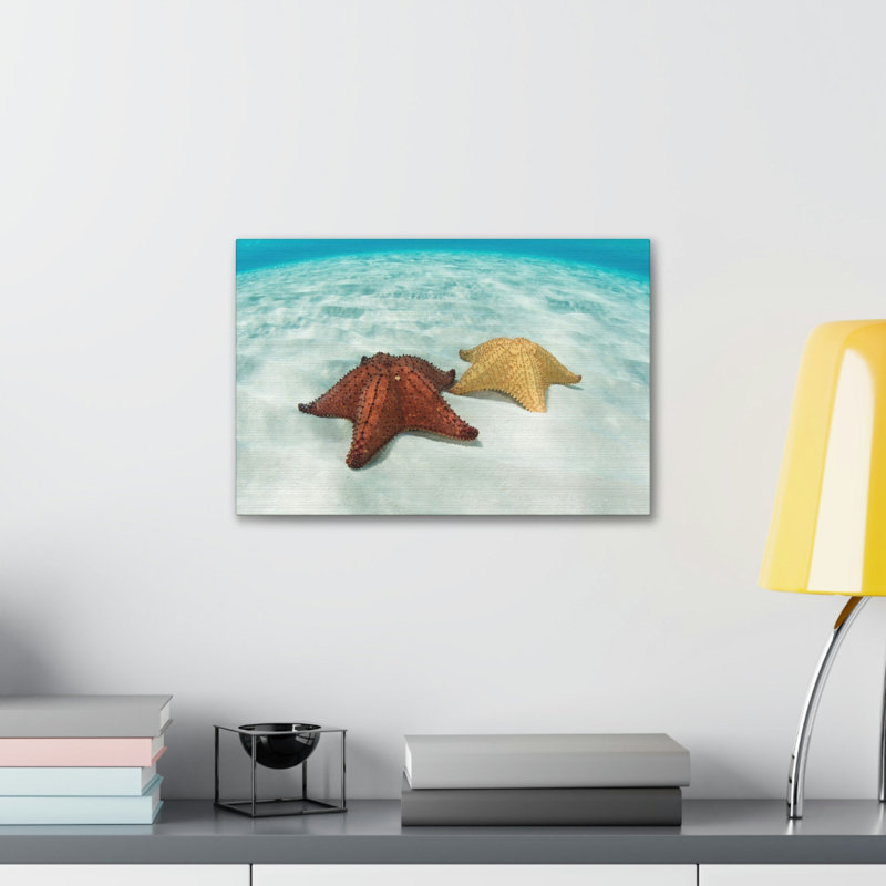 Étoile de mer, étoile de mer, art mural, H 12 po x l 18 po