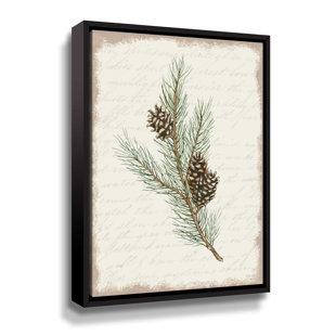 Pine Cone Botanical II Gallery