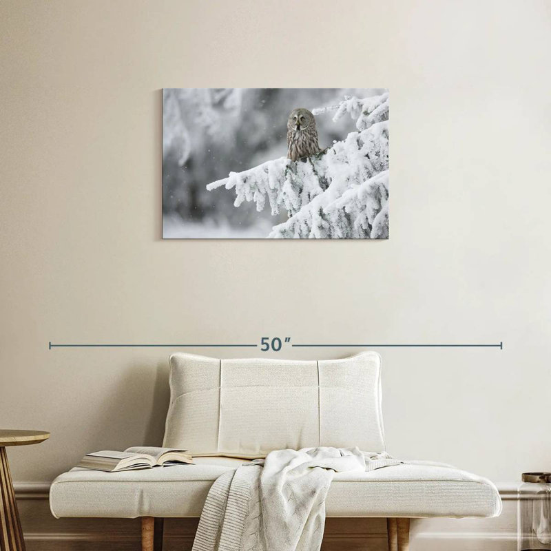 Brampt Owl In Snowy Woods, 20" H x 30" W
