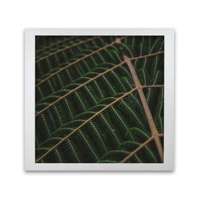 Fern 4 by Nur Mut - Single Picture Frame Print