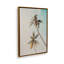 Impression sur toile tendue Sunlit Palm Sky-253560050-253560059