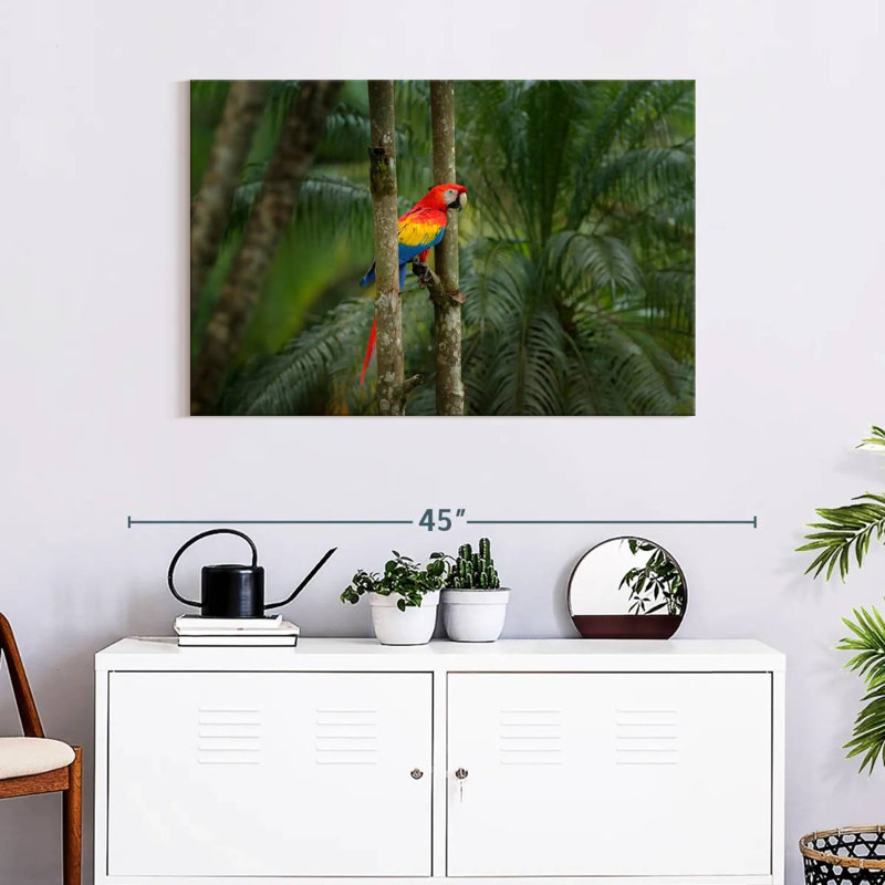 Brampt Wild Scarlet Macaw, 24" H x 36" W