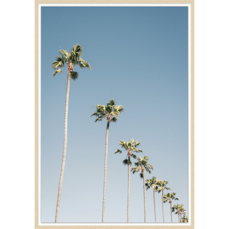 California Shade