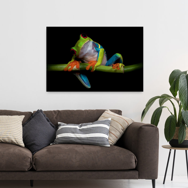 Art contemporain, portrait de grenouille de bambou, H 32 po x l 48 po