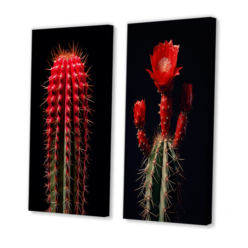 Cactus rouge et noir marron monolithe - ensemble de 2 reproductions d'art mural cactus, H 28 po x l 25 po, Toile tendue