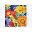 «Market Flowers II» par Kim Parker, impression sur toile-31918921-73575038-73575039