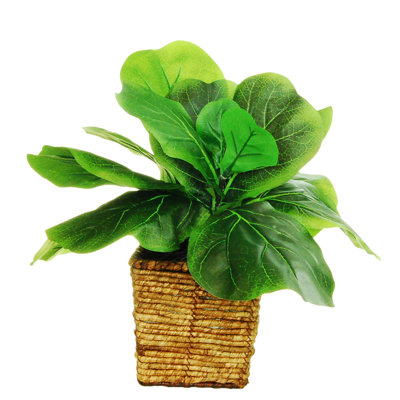 Plante de feuillage artificiel en panier 10 po Brocka