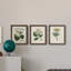 Antique Turpin Botanical IV - Ensemble de 3 reproductions d'art sur toile-2038202535-2038202537
