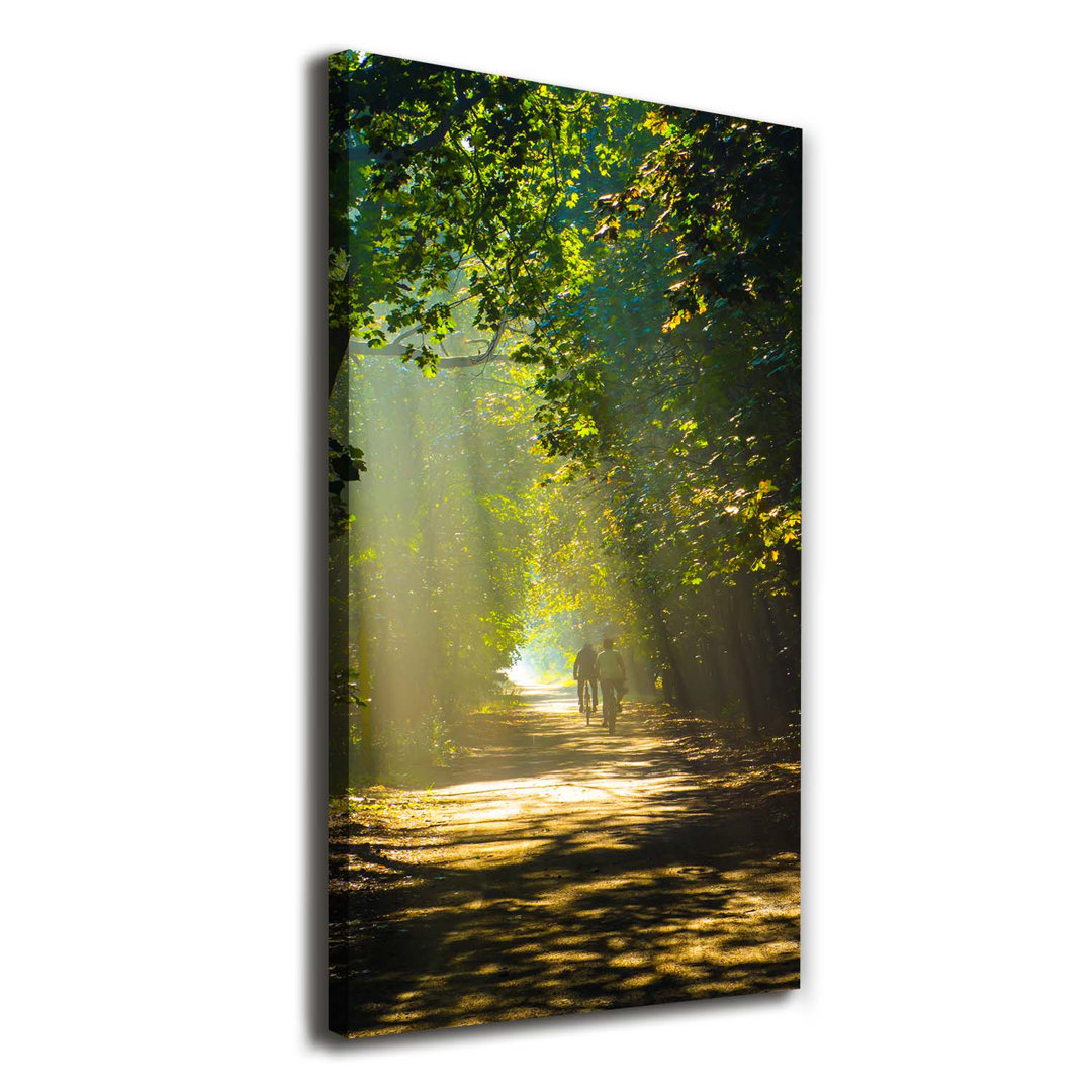 Higgston Pfad im Wald - Leinwanddrucke auf Wrapped Canvas