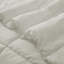 Wayfair Sleep Lightweight Down Alternative Comforter-459250354-403424110