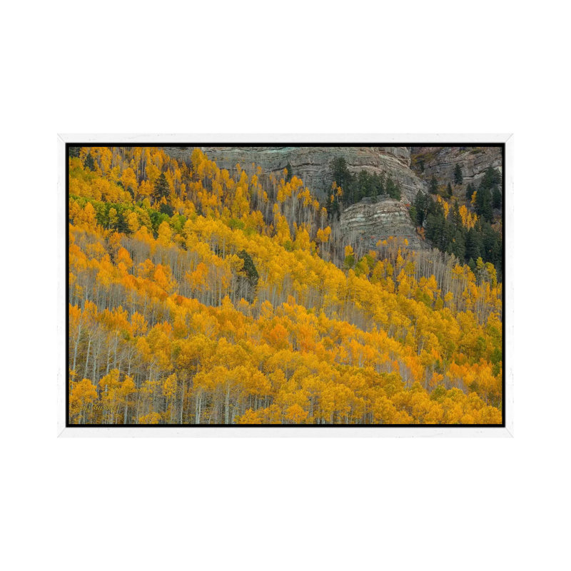 Autumn Canyon 1 Piece Wall Art on Canvas, 66.04 cm H x 45.72 cm W, White Floater Framed