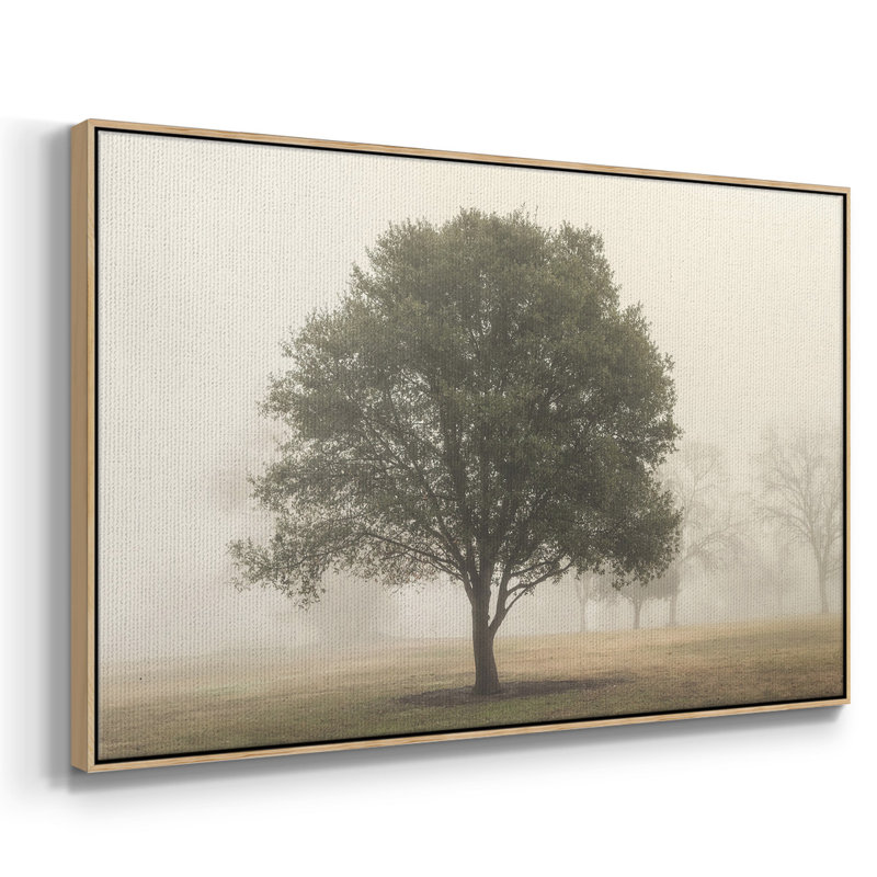 «Trees in the Fog I», reproduction encadrée sur toile, H 27 po x l 41 po x P 2 po, Naturel