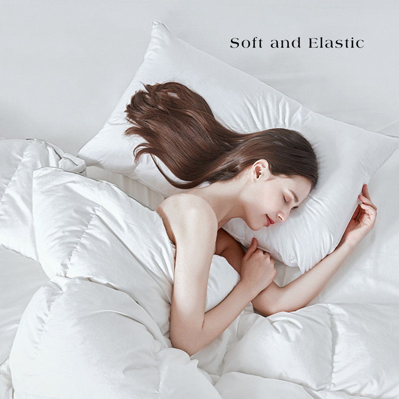Coussin Heidi, Standard