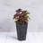 Sewickly Pot Planter-683715967-683715938