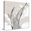 «Touch of Grey V» par Chris Paschke-1723735605-1723735602