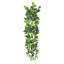 Plante artificielle suspendue lierre Pothos-2015254684