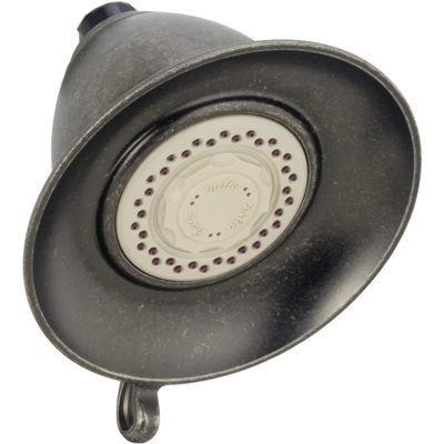 Pomme de douche 2,5 GPM Universal Showering components