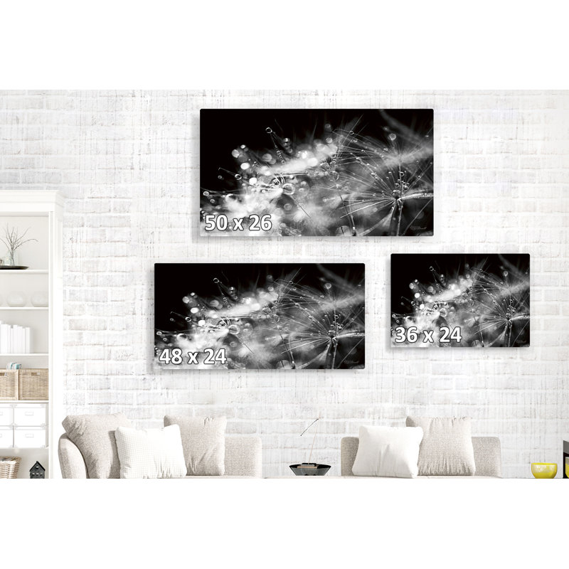 Up, On Black, Black And White, 24" H x 36" W x 1.5" D