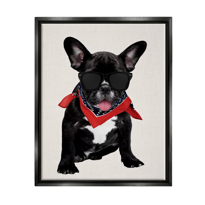 «Cool Dude French Bulldog Pet», impression, H 21 po x l 17 po x P 1,7 po, Cadre flottant noir de jais