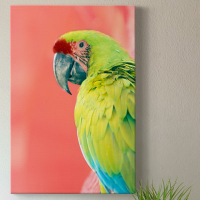 Ara vert - impression sur toile tendue