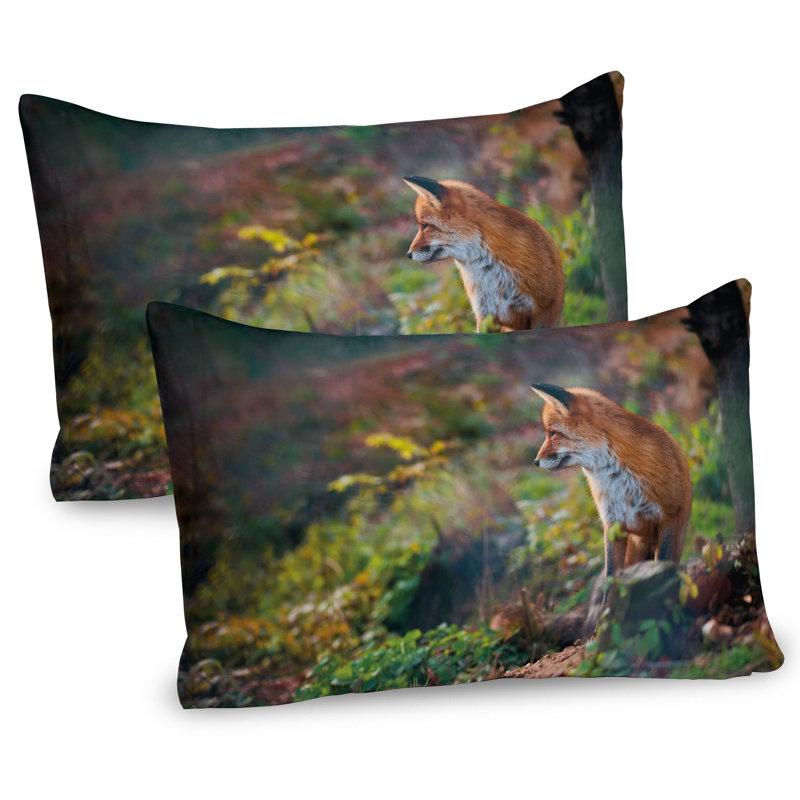 Ensemble de 2 taies décoratives Ambesonne Fox, H 20 po x l 30 po