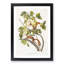 Red Squirrels by J.W. Audubon - Picture Frame Painting Print-55598145-55598154