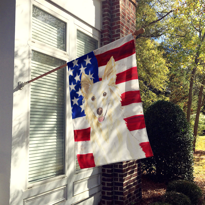 Drapeau de maison en polyester à 2 côtés Shahnur, Collie blanc
