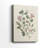 Pressed Arrangement I -Gallery Wrapped Cavas-1495281893