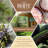 Timberland Retreat Scented Jar Candle