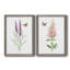 «Wildflower Botanical I», ensemble de 2 reproductions d'art-923653540-923653543-808463890