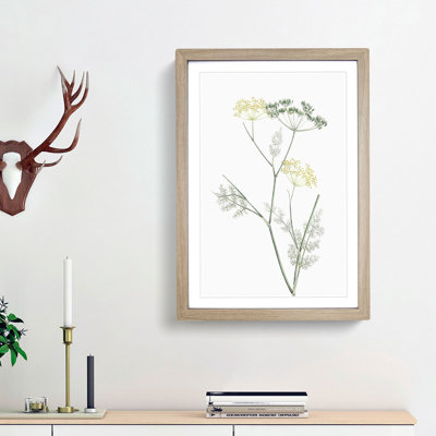 Blooming Fennel Flowers by Pierre-Joseph Redoute - Picture Frame Painting Print
