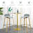 Bastiana Counter Stool with Metal Frame-771653969
