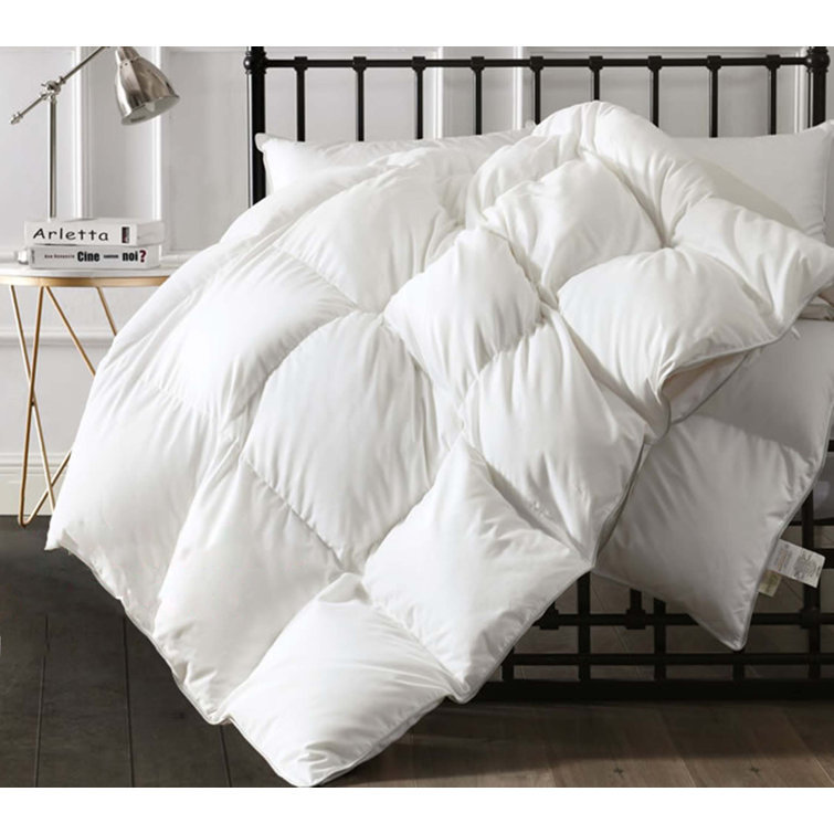 Insertion de couette en duvet d'oie à plumes en lin 650 pi, Blanc, Lit simple