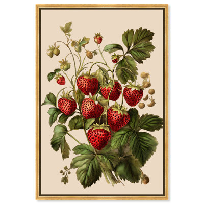 Strawberry Softness I, impressions sur toile par Art Remedy