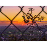 Fenced In Sunset In San Diego, California Print by Brian Mc Clean